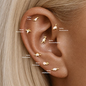 Ohrstecker mit Dinosaurier-Opal • 925er Silber, 18 Karat vergoldet • Knorpelpiercing, flache Rückseite • Helix-, Tragus- und Conch-Stecker • Geschenk für Sie