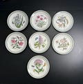 Vintage Portmeirion Botanic Garden Salad Plates | Susan Williams-Ellis Botanical Butterflies