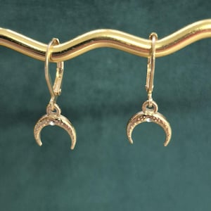 May include: A pair of gold-coloured crescent moon earrings, each with a small, clear gem at the centre. The earrings are suspended against a dark green backdrop.