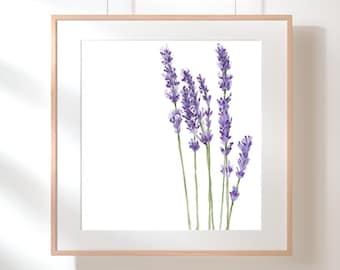 Lavender Flower Illustration Wall Art Simple Floral Drawing Immediate Download Printable Art for Nursery Kids Room Decor Art for Home Office