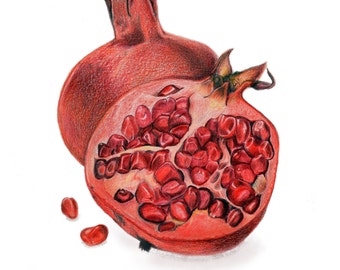 Illustration of Pomegranates, Colored Pencil Drawing, High Quality Print, Home Decor for Kitchen