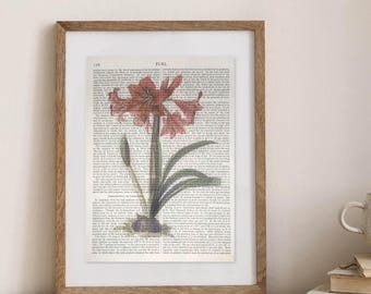Vintage Encyclopedia Floral Themed Print Botanical Wall Art Vintage Book Pages Gift for Book Lovers Bookish Home Decor for Library or Office