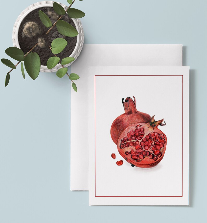 Set of 6 Illustrated Pomegranate Cards image 1