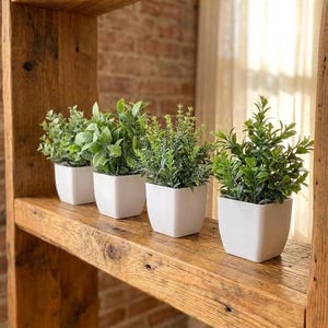 Può includere: Quattro piccole piante artificiali verdi in vasi quadrati bianchi disposte in fila su uno scaffale di legno. Ogni pianta presenta texture del fogliame e sfumature di verde distinte, alloggiate in contenitori bianchi identici.