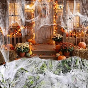 Op de afbeelding: Een Halloween-verandaversiering met witte synthetische spinnenwebben gedrapeerd over groen en een houten entree. De scène bevat oranje pompoenen, chrysanten in potten, hooibalen en lichtsnoeren, geaccentueerd met zwarte plastic spinnenfiguren.