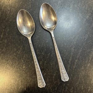 Interpur FLORENZ Stainless Spoons Set Of 2 Japan Silverware