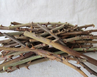 Wild Rose Thorn Branches: Rustic Wiccan Decor, Natural Thorny Twigs