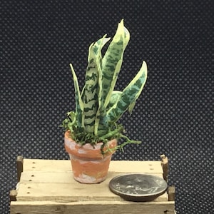 Miniaturowa roślina językowa teściowej, roślina wężowa w terakotowej drewnianej doniczce w skali 1:12, domek dla lalek Diorama