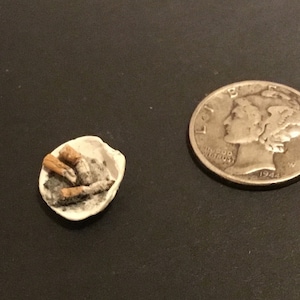 Miniaturowa popielniczka z muszli małży z miniaturowymi niedopałkami papierosów wykonana ręcznie