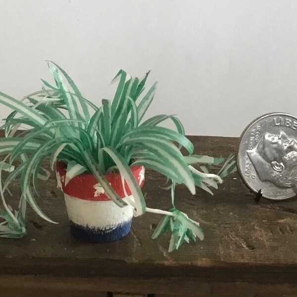 1:12 Miniature Spider Plant in Red White & Blue  Painted Wood Pot Handmade Dollhouse Diorama Room Box Plant