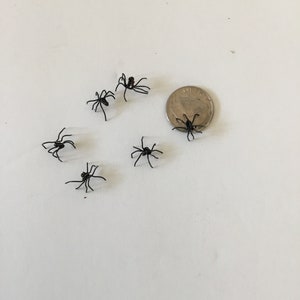 Pode incluir: Uma coleção de seis pequenas aranhas de plástico preto sobre uma superfície branca. Uma moeda de um quarto de dólar americano é incluída para escala.