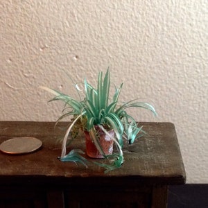 1:12 Miniaturowa roślina pająkowa w doniczce z malowanego drewna terakotowego, ręcznie robiona, domek dla lalek, pudełko na rośliny