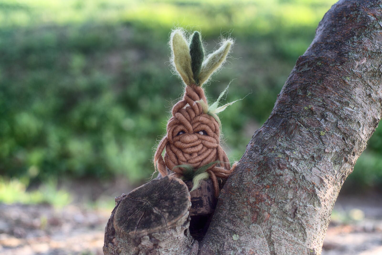 Needle Felted Baby Mandrake Mandragora Harry Potter Halloween Etsy New Zealand