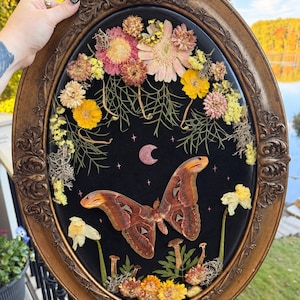 May include: An oval wall art piece in an ornate bronze-colored frame featuring a large brown moth centered on a black background. The composition includes pressed yellow and pink flowers, green foliage, small mushrooms, and a pink crescent moon.