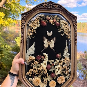 May include: A rectangular wall frame with an ornate bronze-colored border containing a black background. Inside, a preserved butterfly is centered below a crescent moon stone, surrounded by dried flowers, ferns, and small rosebuds.