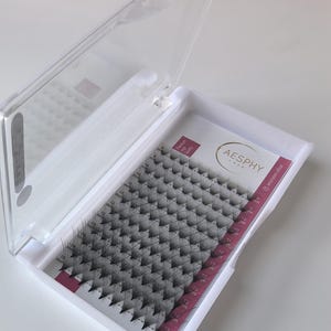 5Trays Promade Eyelash Extension Fans Package-Narrow Fanning 20D-0.05 D  Each Tray