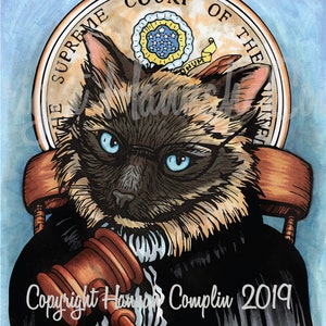 Cat Card Pop Art Pirate Kitty, Top Hat, Punk Rock, Flapper, Wizard, Pet Art Portrait, Cat Lover Gift Funny Cartoon Sphinx Judge Cat