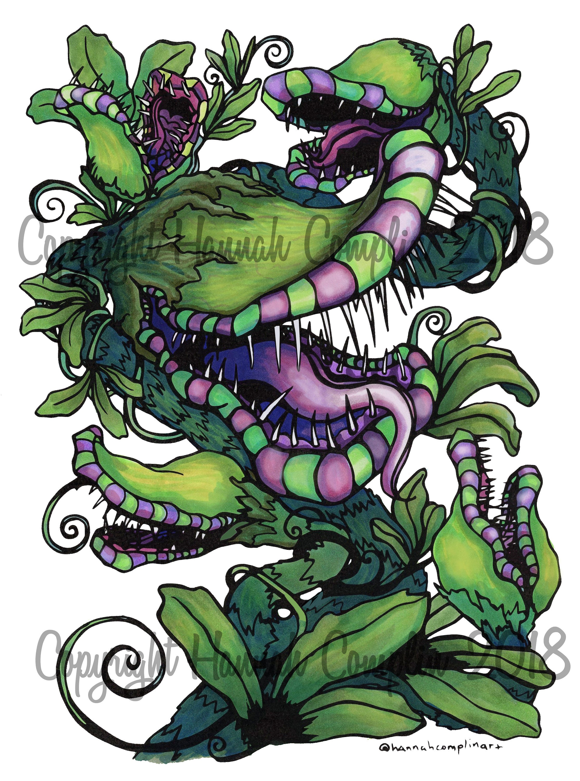 Carnivorous Plant Cartoon Drawing Digital Print Ink Artwork - Etsy Canada
