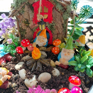 May include: A miniature fairy garden scene featuring a rustic house with a red door, surrounded by colorful mushrooms, gnomes, and vibrant flowers. A small campfire adds a whimsical touch to this charming display.