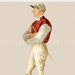 see more listings in the Jockeys Horses Dressage  section