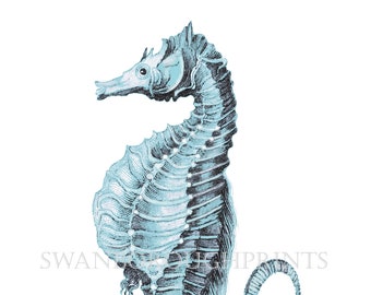 Turquoise Blue Seahorse Print Giclée Printed onto Archival Watercolour Paper