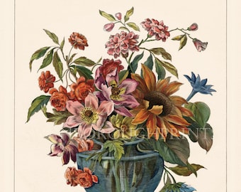 Floral Arrangement No1, An Arrangement of Various Flowers in a Vase, Giclée print from a Vintage Engraving Originally Water Coloured by Us.