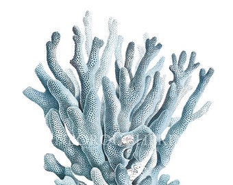 Stampa decorativa da parete blu con ramo di corallo del Mar Blu