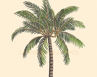 Palm Tree Print Tropical Beach Palm Tree. Giclée Printed onto Smooth Watercolour Paper