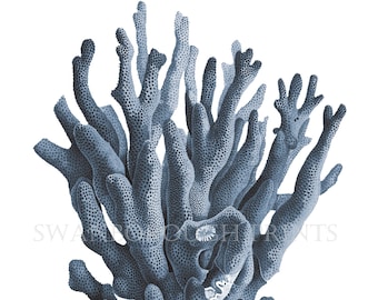 Navy Blue Coral Print on Smooth Watercolour Paper. Beach Bathroom Sea Life Print. Navy Blue Sealife Coral Print