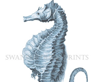 Blue Seahorse Print Blue Sea Life Bathroom Print Giclée Printed onto Archival Watercolour Paper
