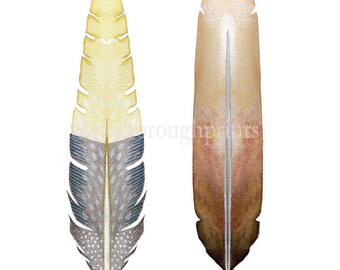 Yellow Gray Bird Feather Print from Original Watercolor. Art & Collectibles Bird Feather Painting Art Print Decorative Art Gift for Friend