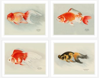 Ryukin Goldfish Wall Art. Print of Goldfish. Japanese Goldfish Print. Japanese Koi Carp Print. Gift for Husband. Game Room Decor.