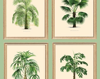 Beach Home Decor Four Palm Tree Prints, Tropical Wall Art Palm Trees Fine Art Prints Coastal Home Wall Decor Giclée Printed Wall Art.