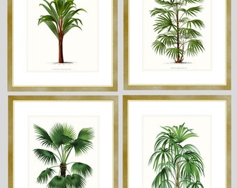 Palm Tree Prints. Beach Home Wall Art. Four Palm Trees. Living Room Decor. Coastal Decor. Tropical Palm Tree Art Poster. Coastal Home Decor.