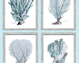 Set of 4 Blue Coral Prints: Giclée Print on Watercolour Paper