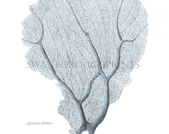 Blue Sea Fan Coral Print Blue Bathroom Wall Art Decor Beach Home Decoration Giclée Print.