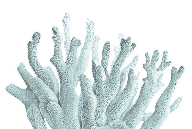 Color de espuma de mar de coral azul. Decoración de la casa de | Etsy