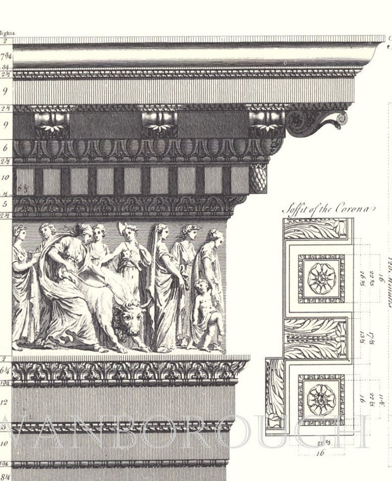 Classic Architectural Print. Corinthian Design Wall decor. Corinthian Column Fine Art Print. Wall Art Poster Print. Column Print image 2