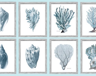 8 Blue Corals and Shell Prints. Sea life Prints Blue Coral Shells Bathroom prints on Smooth Archival Watercolour Paper