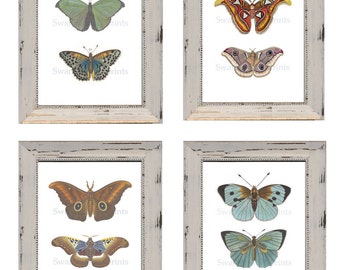 Butterfly Prints Four Beautiful Cottage Garden Style House Prints Guest or Living Room Decor Set of Four Prints