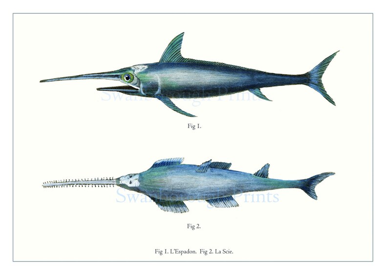 Swordfish Art Print Marlin Wall Decor Home Man Cave Painting Poster