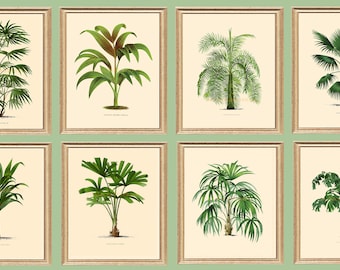 Palm Tree Prints. 8 Tropical Palm Trees Beach House Palm Prints on Archival Watercolour Paper