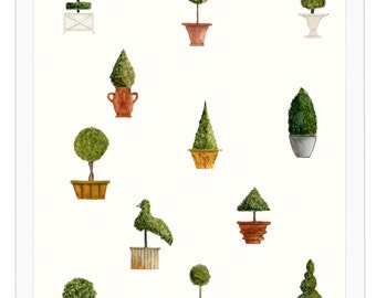 12 Topiary Trees Originally Hand Drawn and Painted With Watercolour. Giclée Prints Are Taken From Our Unique Hand Painted Original