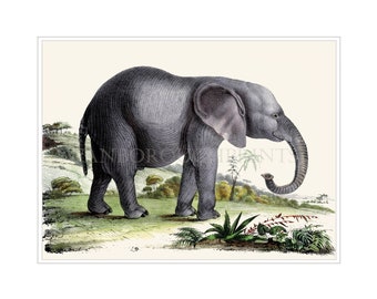 Impresión de elefante africano, arte mural giclée para guardería