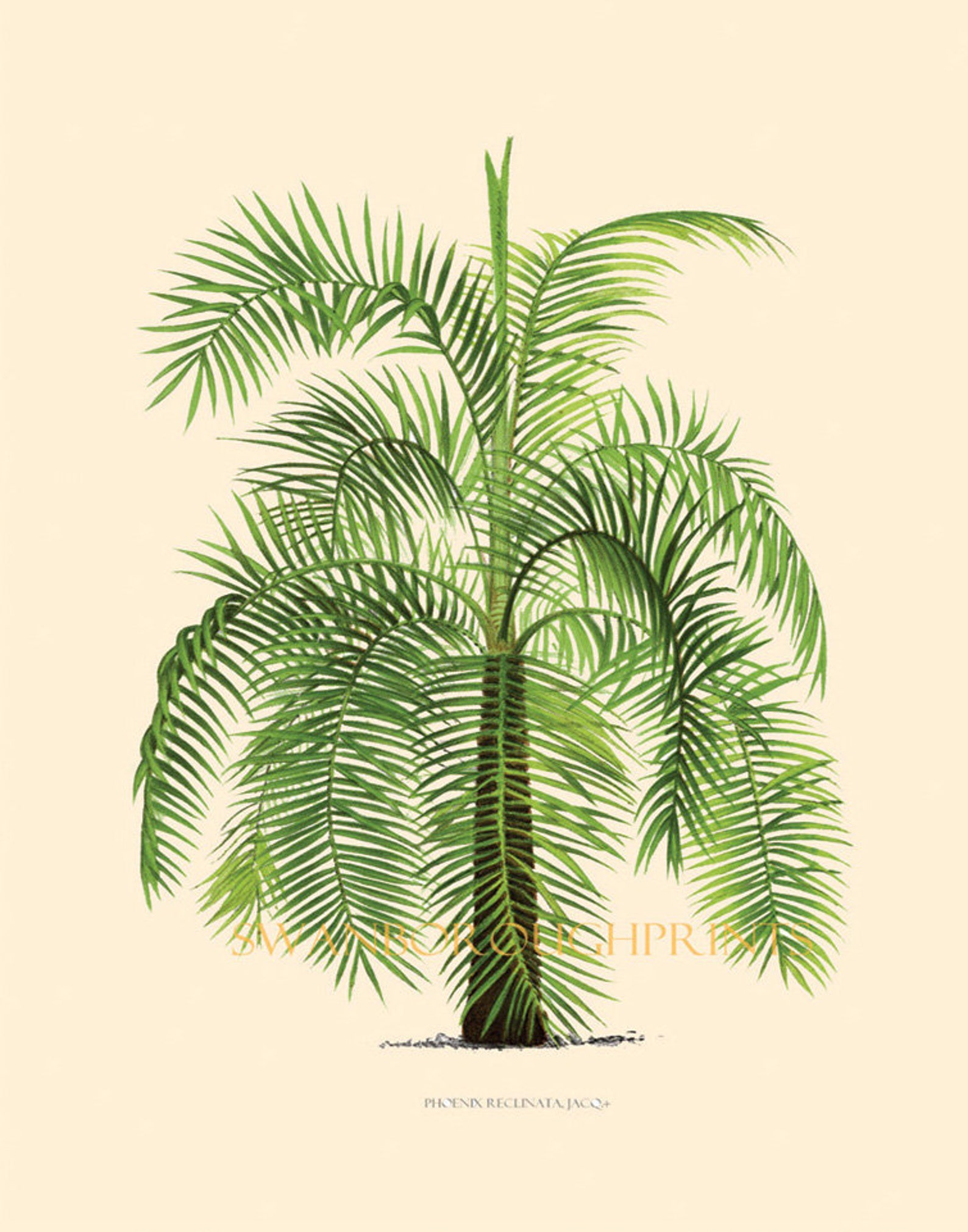 Beach Home Decor Four Palm Tree Prints Tropical Wall Art Palm Etsy UK