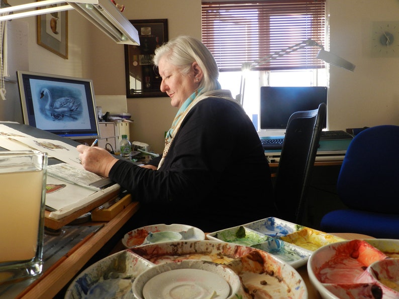 Peut inclure: Une femme est assise &agrave; un bureau avec un &eacute;cran d'ordinateur montrant un dessin de cygne. Elle tient un crayon et travaille sur un dessin. Il y a plusieurs palettes de peinture avec de la peinture s&eacute;ch&eacute;e dessus.