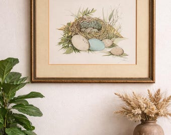 Vintage 1973 Bird  Nest & Egg Nature Print . Framed Naturalist Illustration Cottagecore Wall Art