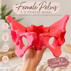 May include: A bright pink 3-D printed model of a female pelvis. The text reads: Female Pelvis 3-D PRINTED MODEL, PERFECT FOR MIDWIVES | DOULAS | CHILDBIRTH EDUCATORS, TEACH POSITIONS, SHOW BABY'S MOVEMENT, GREAT FOR EDUCATION, IDEAL FOR CLASSES & CONSULTATIONS, Click to Learn More!