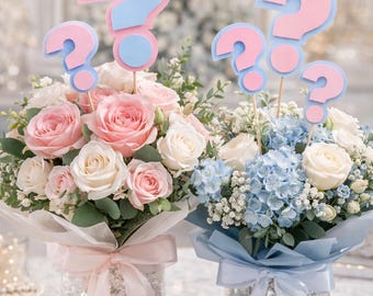 prachtige gender-onthullingsdecoraties voor vraagtekens