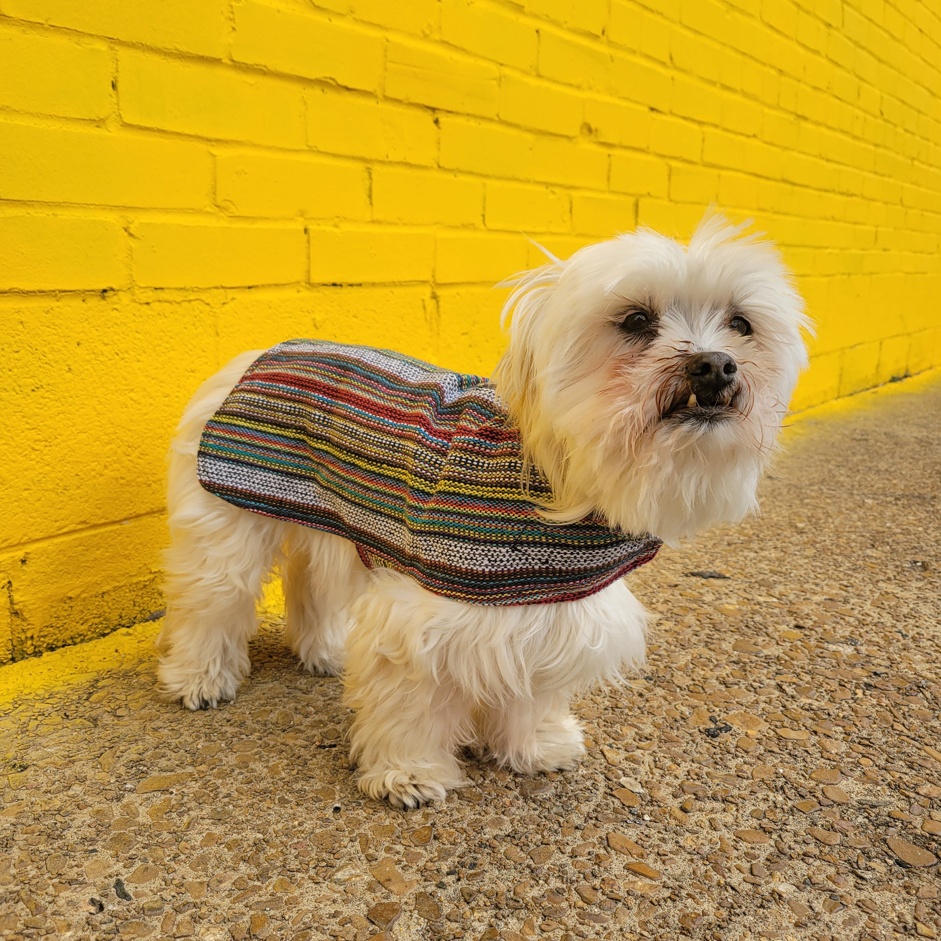 Dog Poncho Sweater Bohemian 100 Cotton for Cats Too choose Size